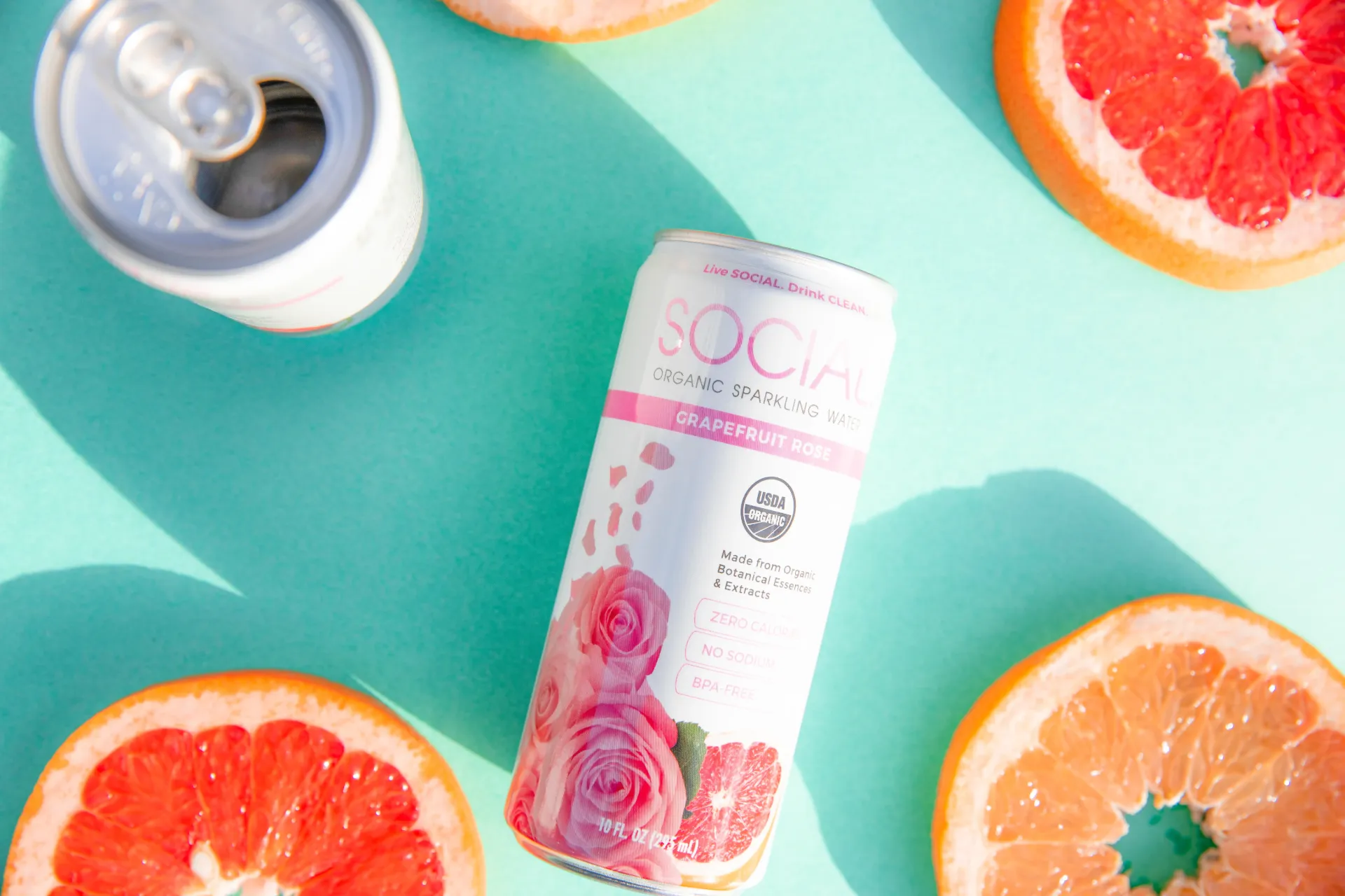 Grapefruit Rose Sparkling Water (24 pack loose)