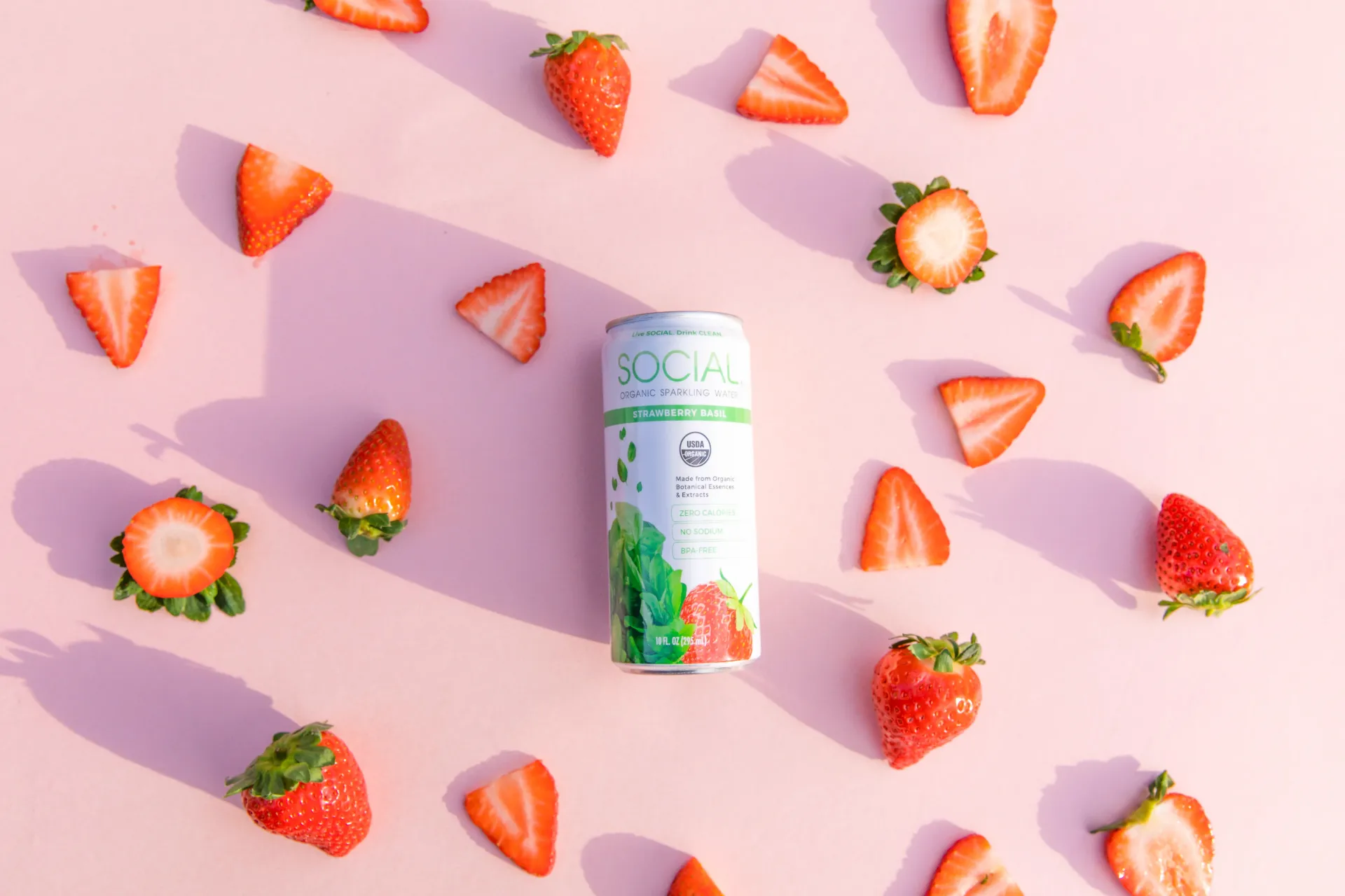 Strawberry Basil Sparkling Water (24 pack loose)